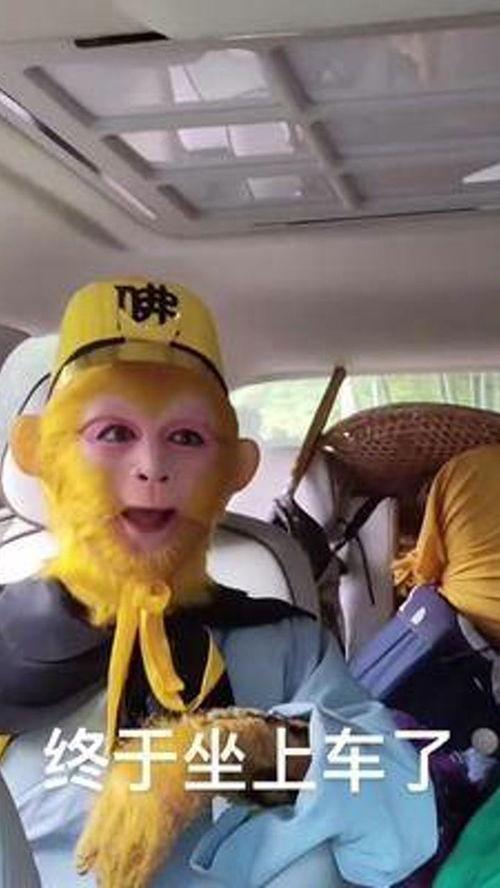 孙悟空简笔画视频,简笔画视频中的孙悟空风采再现