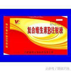 猪腹腔注射视频,猪腹腔注射操作步骤详解