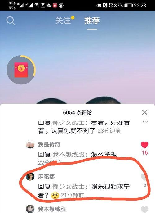 评说的视频,深度解析与精彩点评