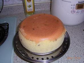 烤箱做蛋糕视频教程,新手必看！烤箱蛋糕制作视频教程详解